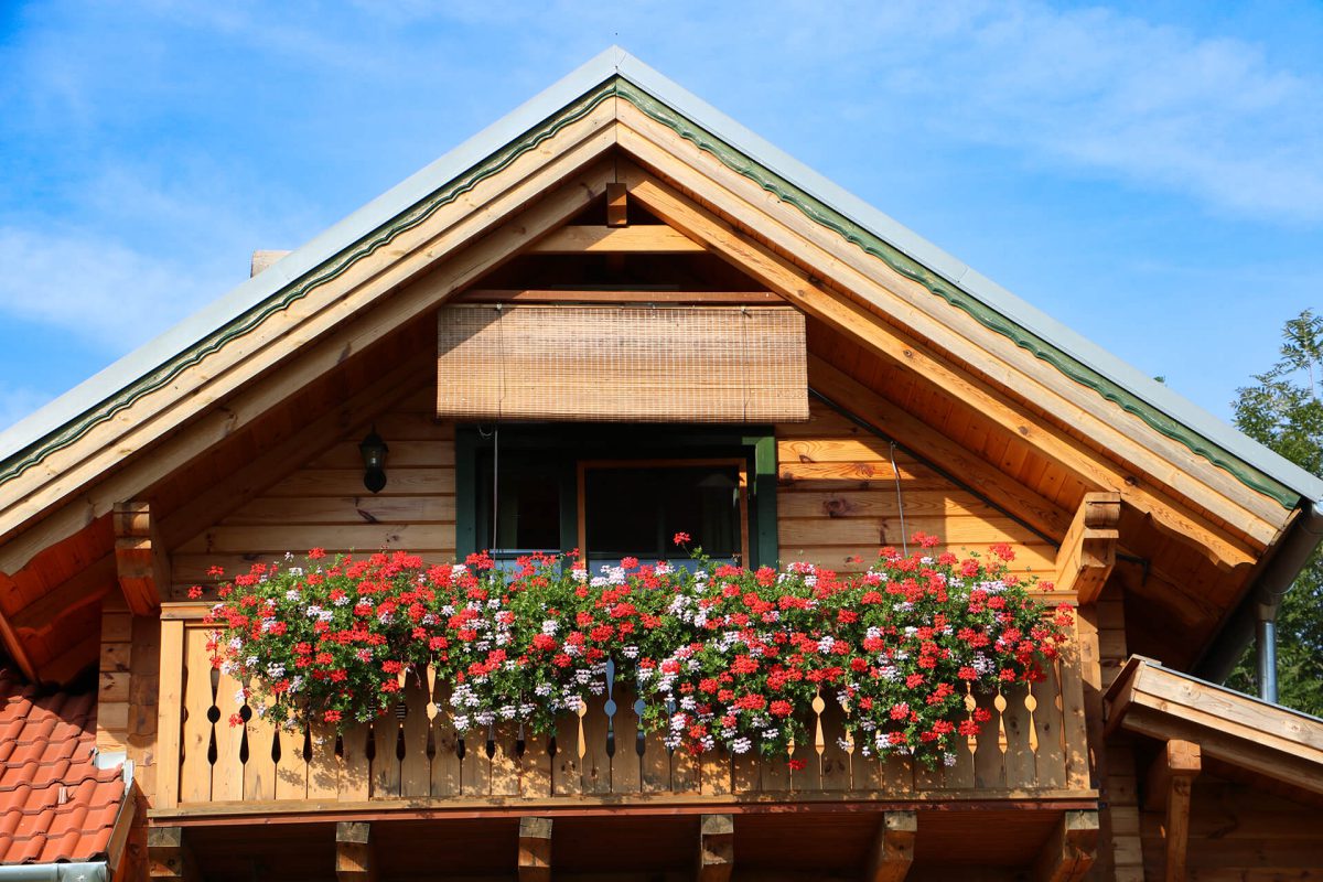 Faház - Hanga vendégház 3