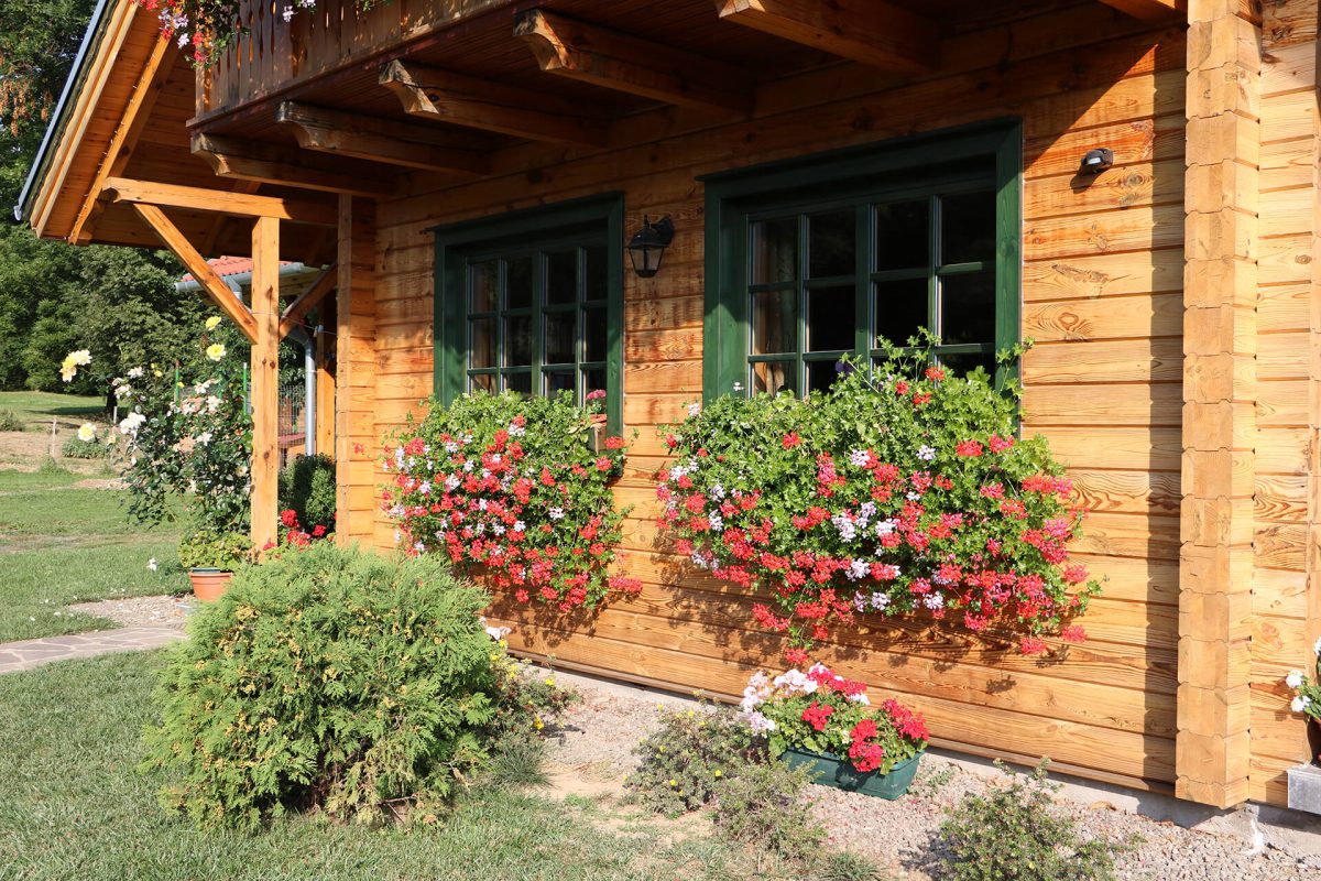 Faház - Hanga vendégház 4