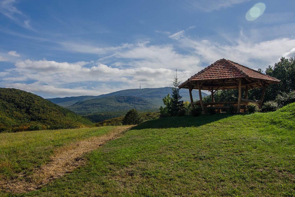 Főépület - Hanga vendégház 16