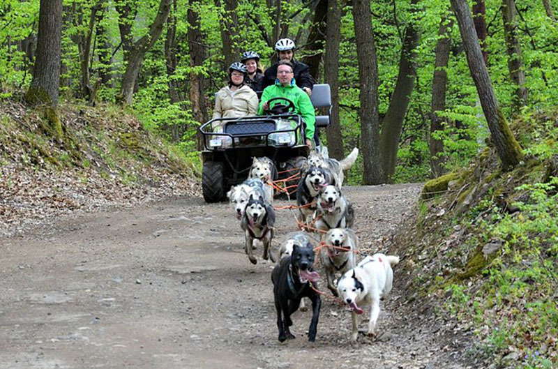 Kutyafogattúra a Mátrában